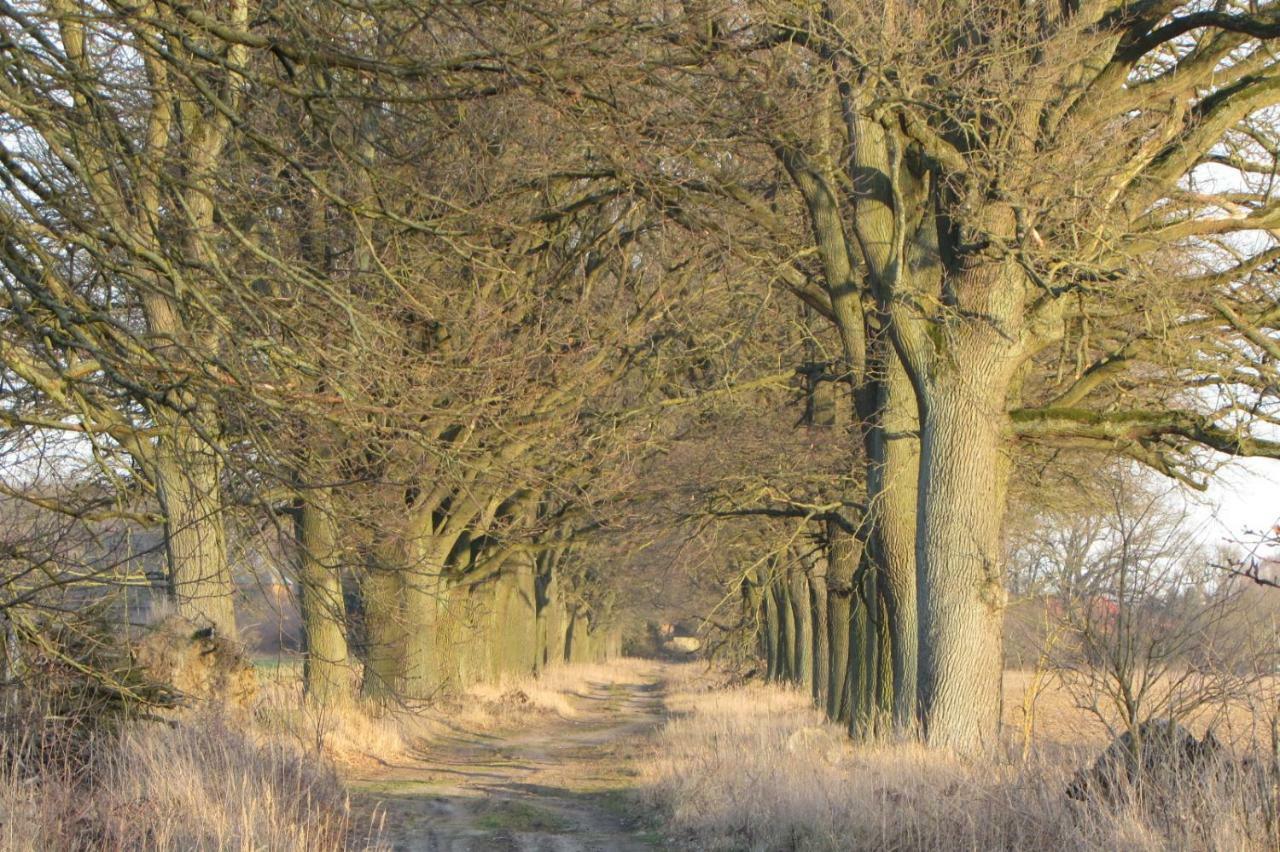 Radlerzimmer Strasen Exterior foto